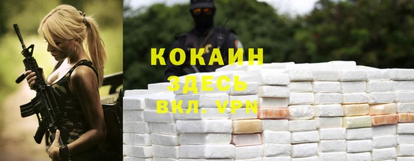 спиды Киреевск