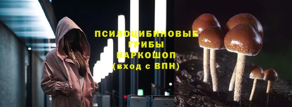 бошки Киренск