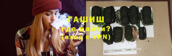 индика Кинешма