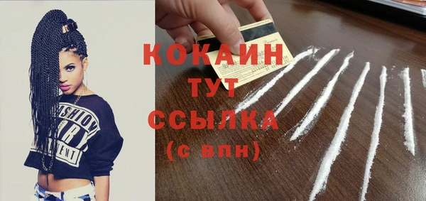 индика Кинешма