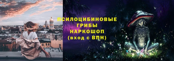 индика Кинешма