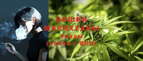 индика Кинешма
