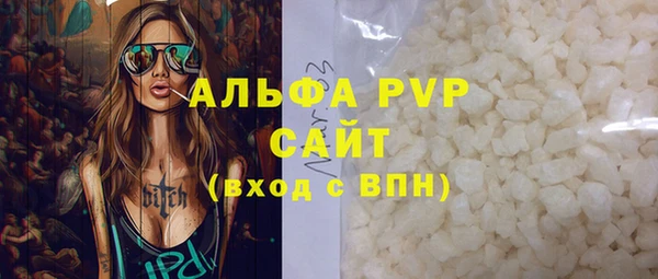 индика Кинешма