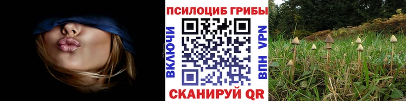 Псилоцибиновые грибы Psilocybine cubensis  где можно купить наркотик  Нелидово 